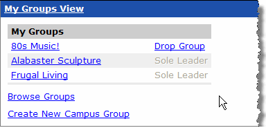 Cgp_MyGroupsView.gif